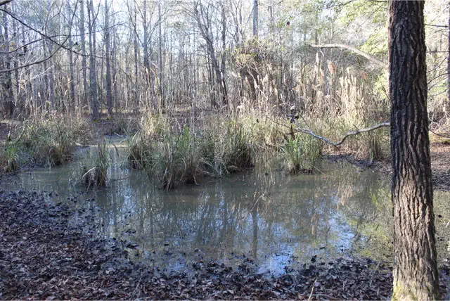 View of the Monroe County Recreational Trail